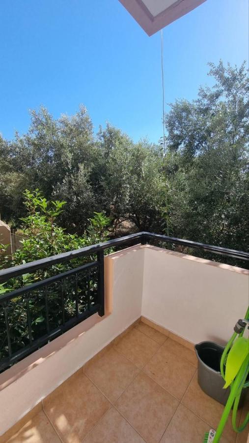 Appartement Junior